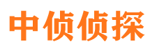 江都市侦探调查公司